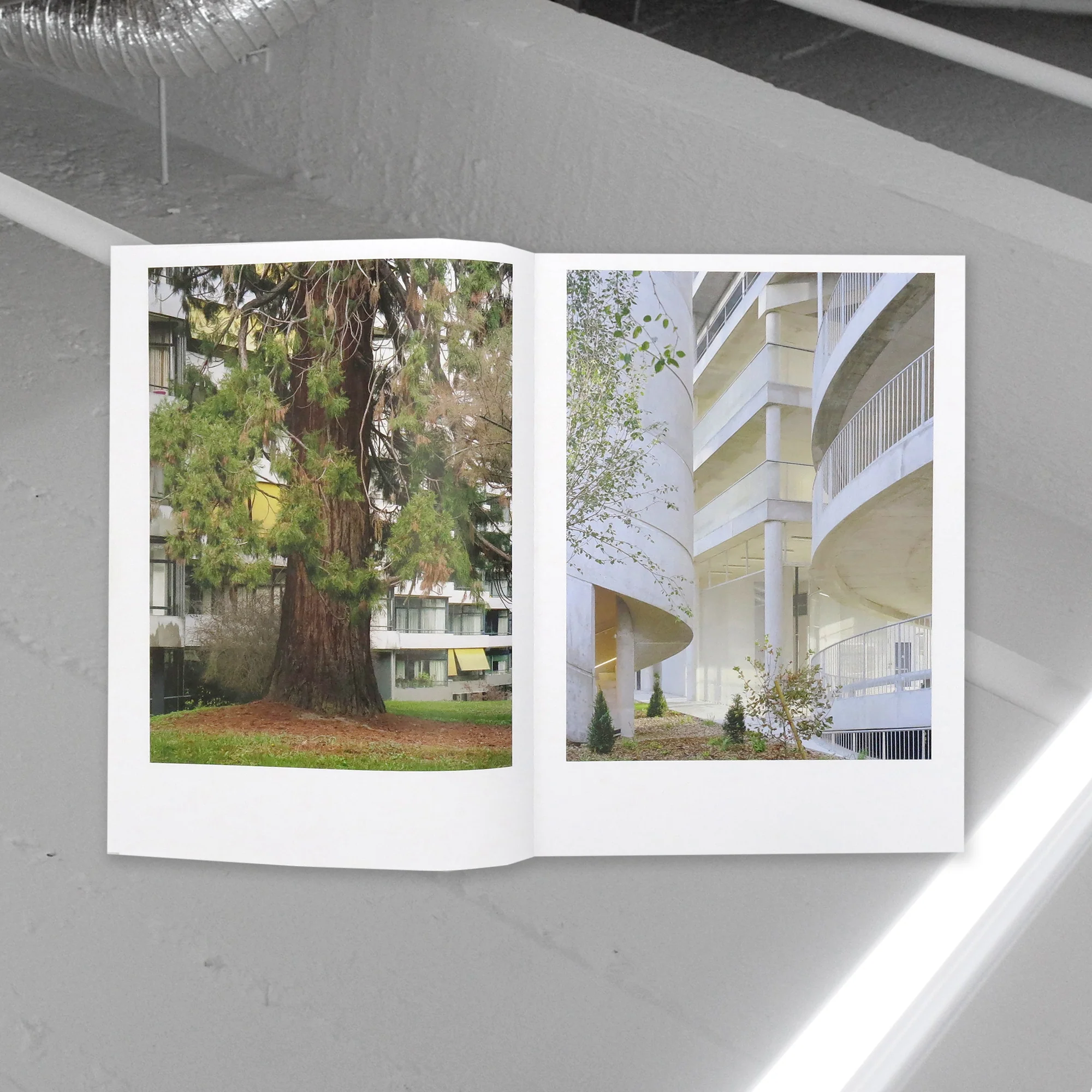 Analogue Images, Rory Gardiner, Maxime Delvaux - Image 5
