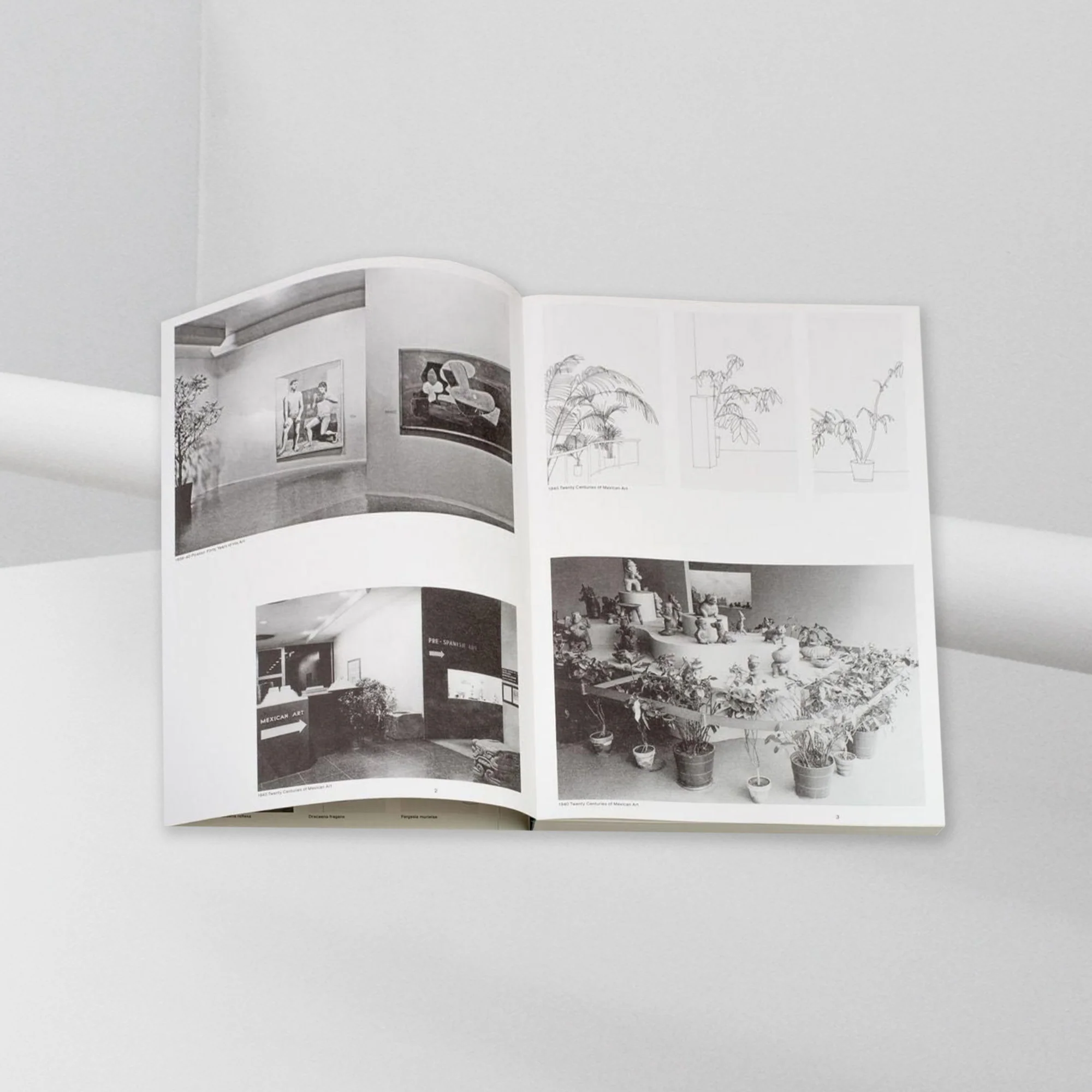 Inge Meijer – The MoMA Plant Collection - Image 3