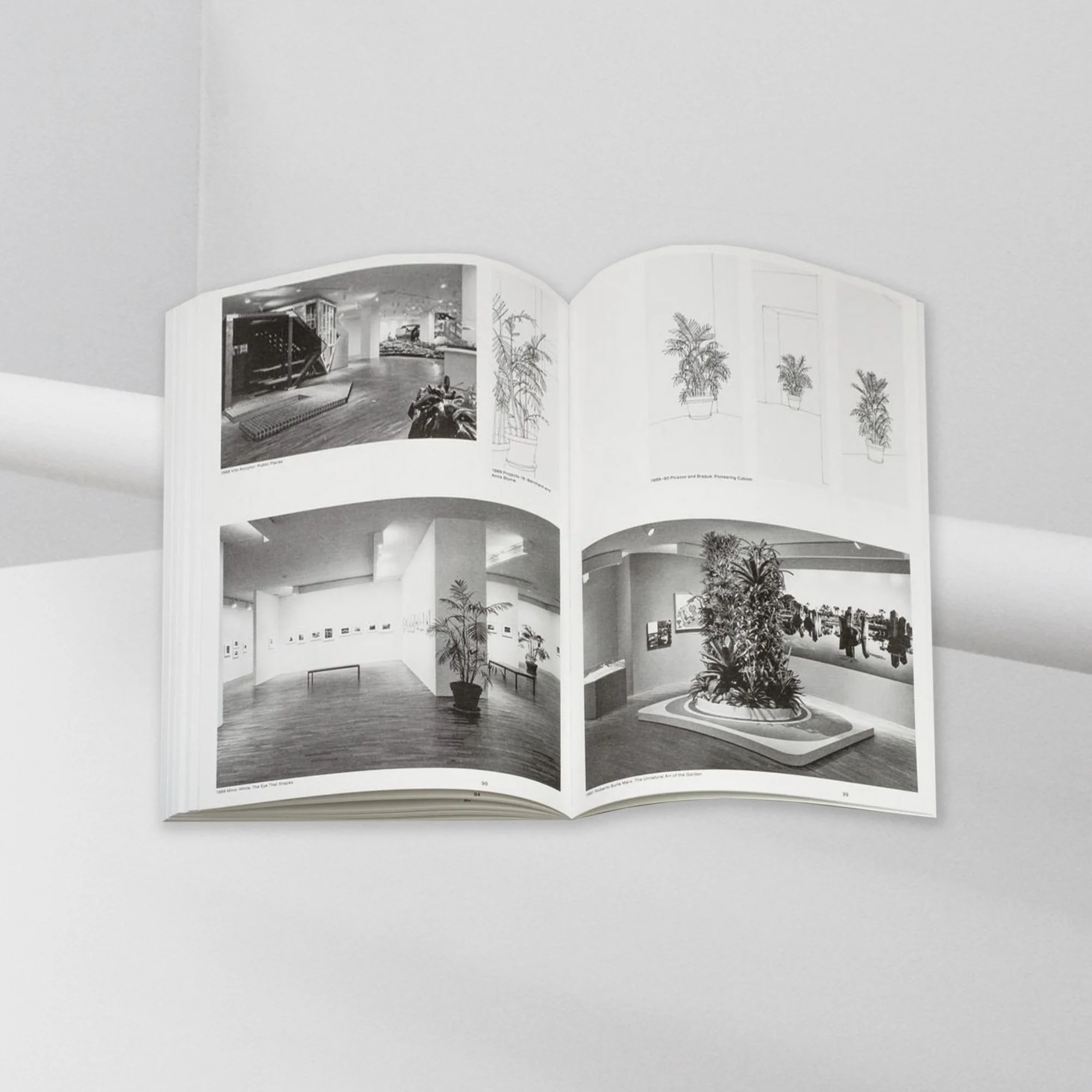 Inge Meijer – The MoMA Plant Collection - Image 4