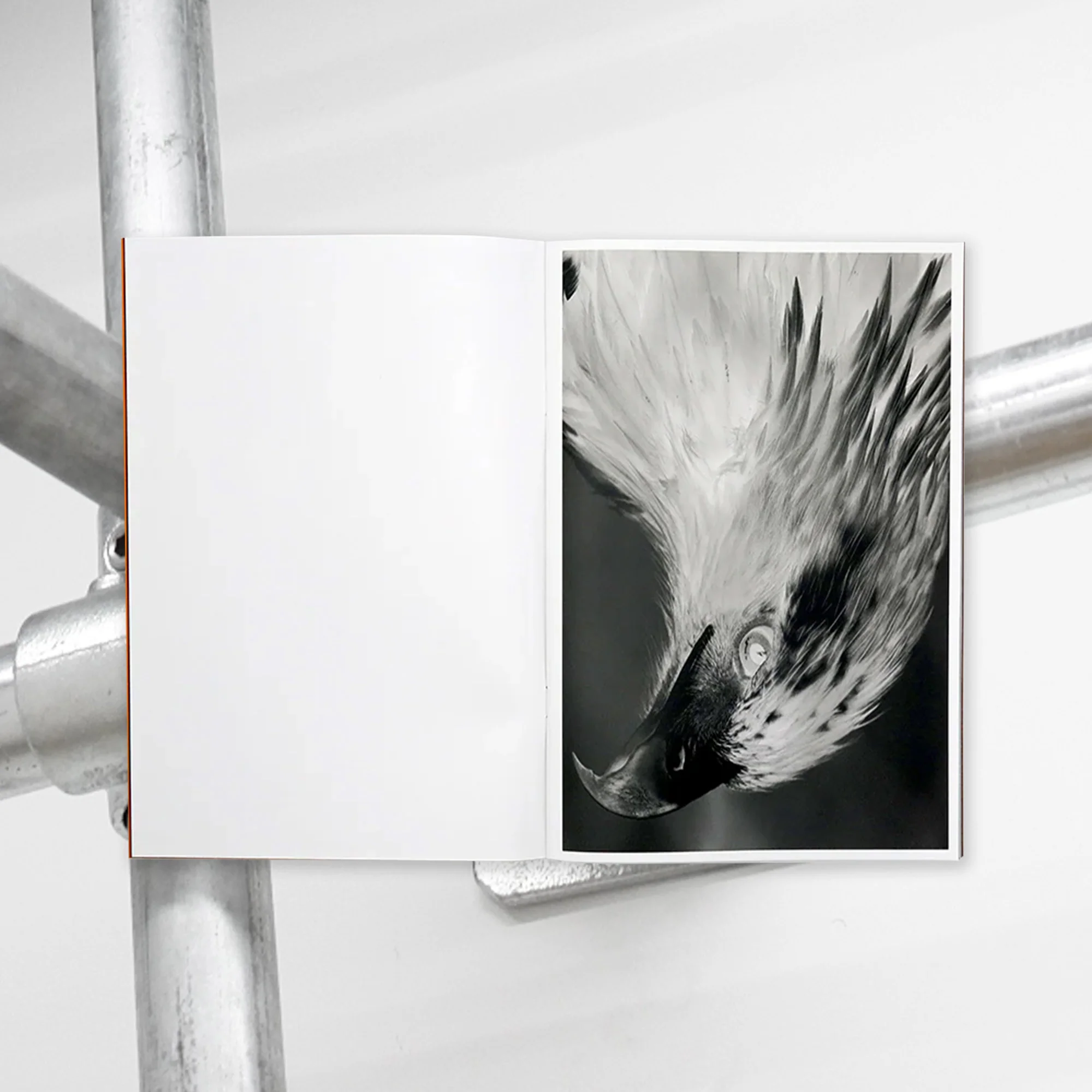 James Tunks – ZONE - Image 3